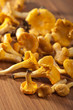 fresh chanterelle mushrooms