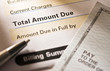 Credit card statement and check