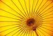 yellow umbrella