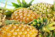 pineapple ripe
