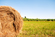 campo di grano con balle di fieno