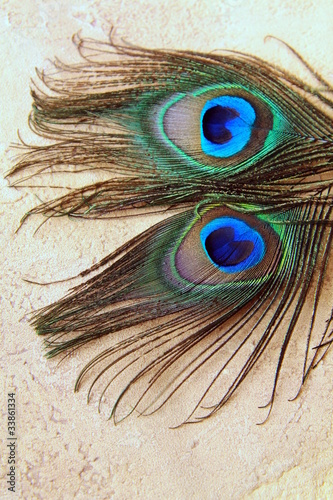 Foto: Two peacock feathers for background Two peacock feathers for background