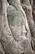 Buddha head.