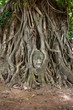 Buddha head.