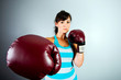 Foto: Female Boxer Female Boxer