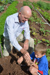 A Grandpa Digging Up Worms with his Grandchild