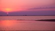 Summer sunset in La Camargue (France)