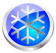 Bouton flocon