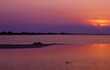 La Camargue (France)