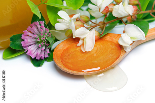 Photo: honey with acacia and clover flowers honey with acacia and clover flowers