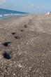 Footprints