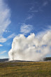 Boiling  geyser in Yellowstone national park