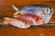 Dried moonfish