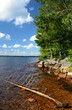 Vertical Swedish landscape of summer lake