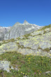 landscape of italian alpine mountain in summer