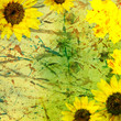 Autumn background with flowers Autumn background with flowers