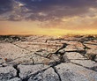 Dry land