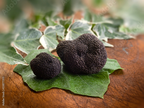 Photo: black truffle over leaf on wood background black truffle over leaf on wood background