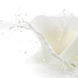milk splash