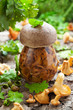 Pickled mushrooms