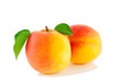 Two apricots with leaves Two apricots with leaves