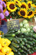 Marché d'Aix : Courgettes et Tournesols Marché d'Aix : Courgettes et Tournesols