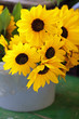 A fényképek részletei Au marché : Bouquet de Soleil (Fleurs de Potager)