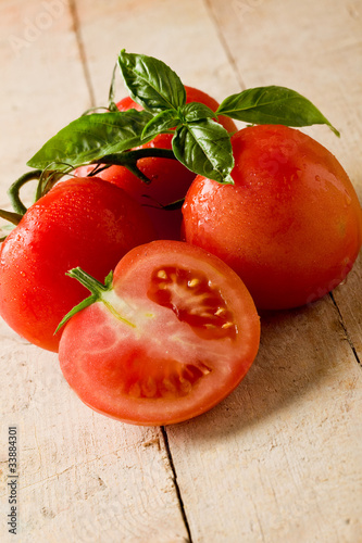 Photo: Tomatoes Tomatoes