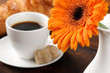 Morning set of coffee, croissant and freshly cut flower Morning set of coffee, croissant and freshly cut flower