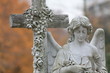 Engel - Angel