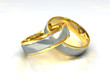 Trauringe aus Gold und Platin
