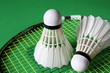 Federball