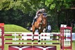 Foto: Pferd im Sprung Pferd im Sprung