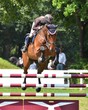 Foto: Turnierpferd beim Sprung Turnierpferd beim Sprung