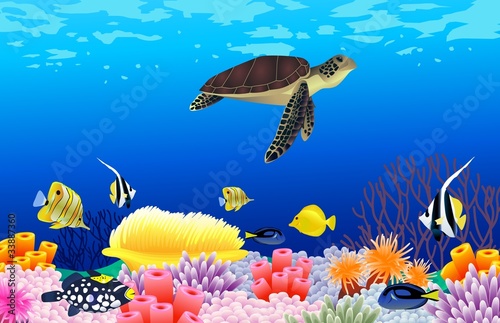Vector: Beautiful sealife background Beautiful sealife background