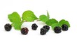 Fruits saisonniers