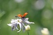 Abflug