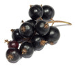 Currant fruits isolated on white