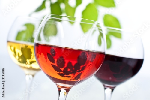 Foto: Wein Wein
