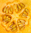 Rock Melon