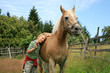 Child and horse haflinger