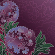 Vintage floral background with allium