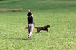 Hundesport