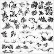 Rococo Flourish Elements Designs Collection