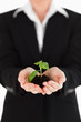 Young woman in suit holding a small plant