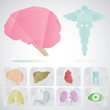 Human internal organs icon and medical symbol made of paper.