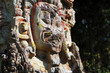 Sculptures in Archeological park in Copan ruinas Sculptures in Archeological park in Copan ruinas