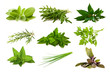 Mix aromatic herbs