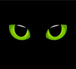 Cat eyes
