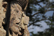 Sculptures in Archeological park in Copan ruinas Sculptures in Archeological park in Copan ruinas